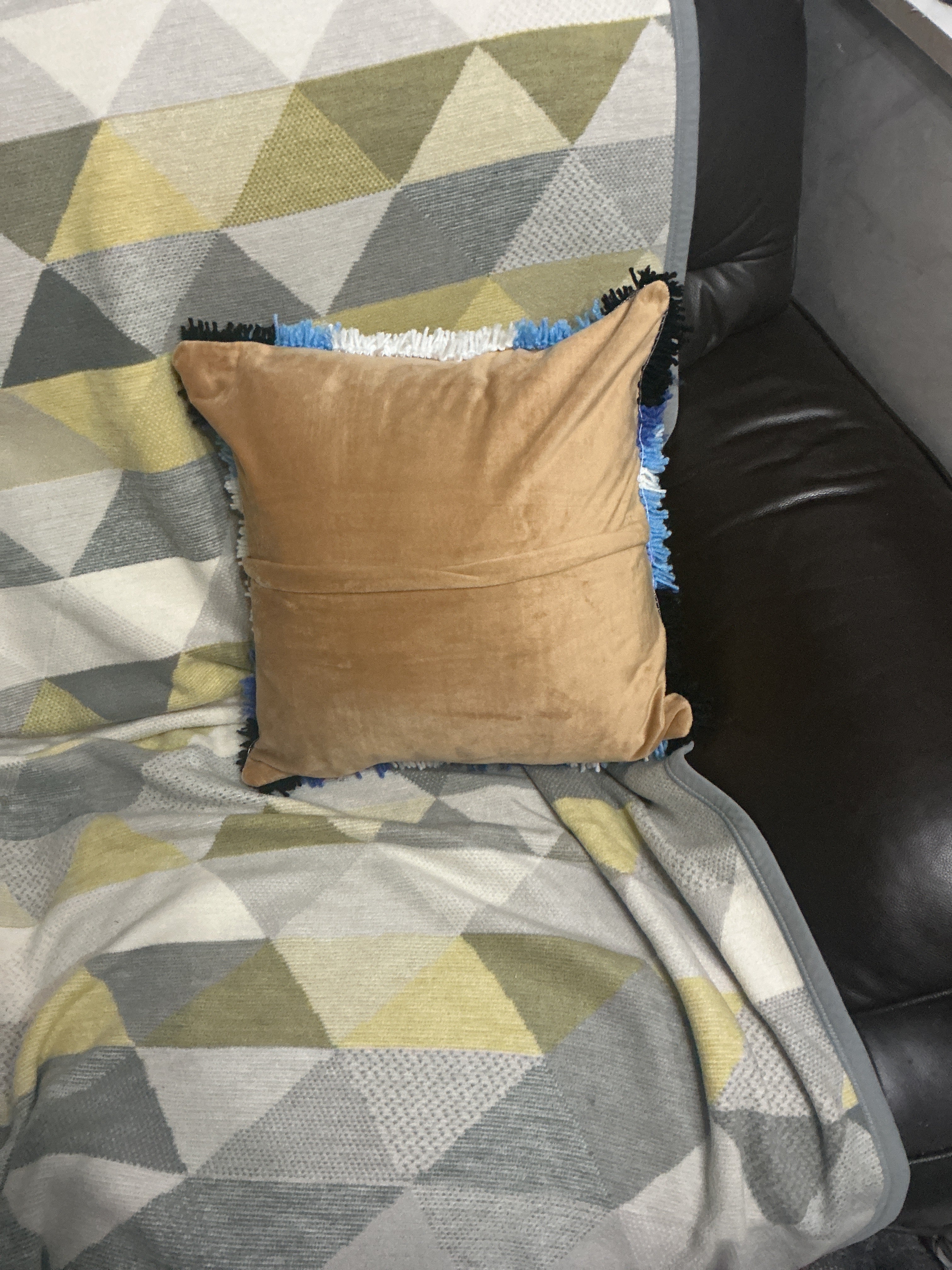 Butterfly cushion