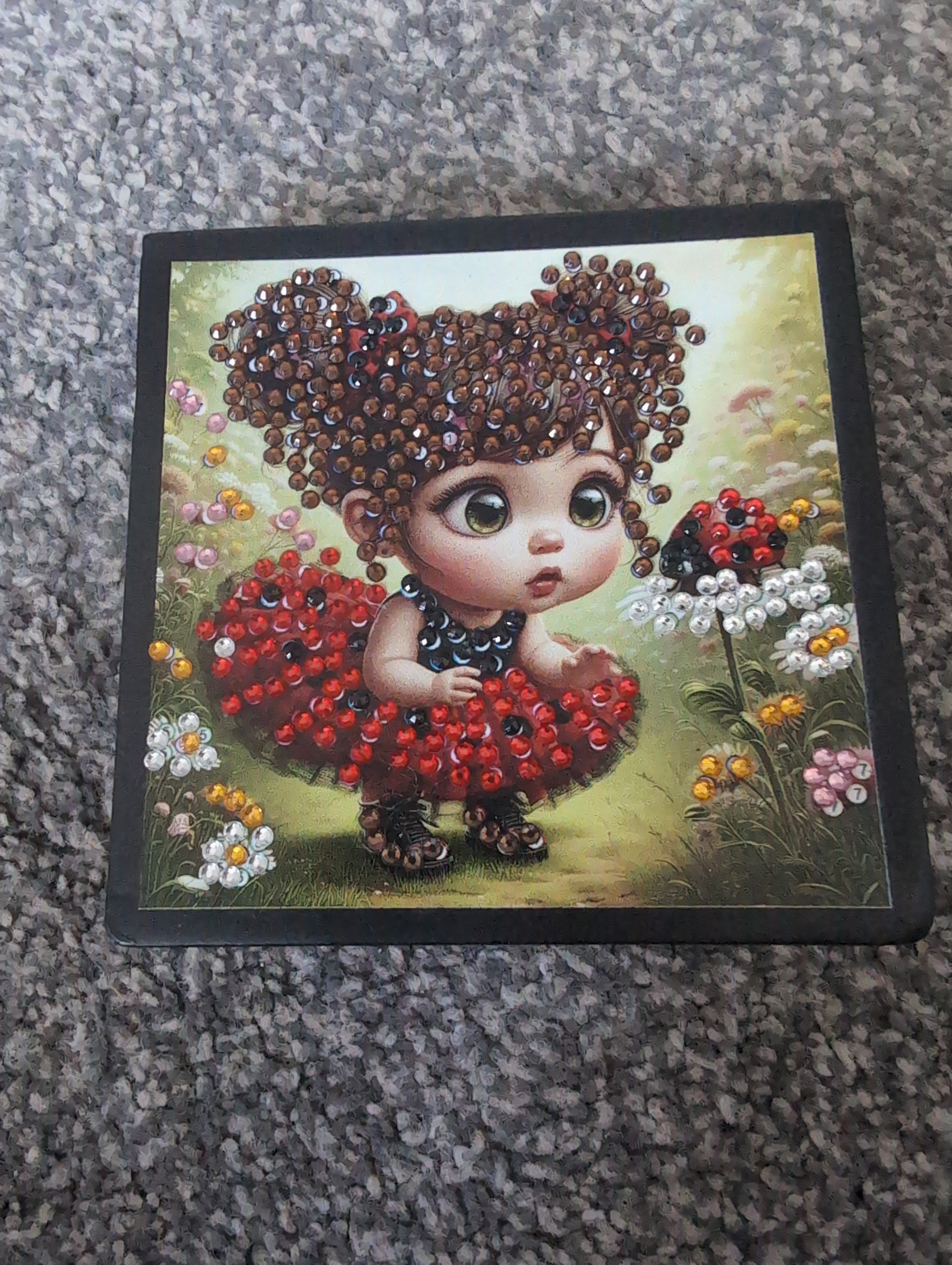 Ladybird 🐞 organiser